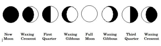The Moon's Phases (Northern Hemisphere)