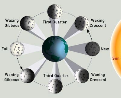 The Moon's Phases