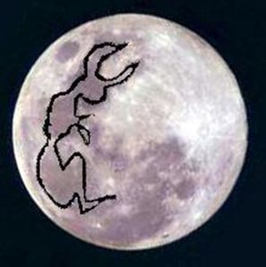 The Rabbit on the Moon?