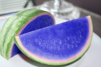 Japanese Moonmelon 